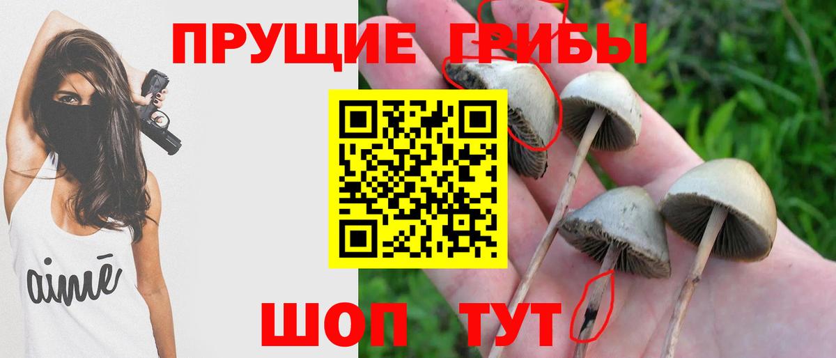 Псилоцибиновые грибы прущие грибы Благодарный
