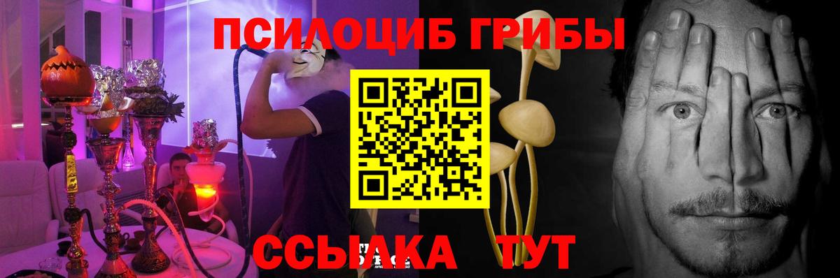 Псилоцибиновые грибы ЛСД  Вход с VPN  Благодарный  Псилоцибиновые грибы MAGIC MUSHROOMS 